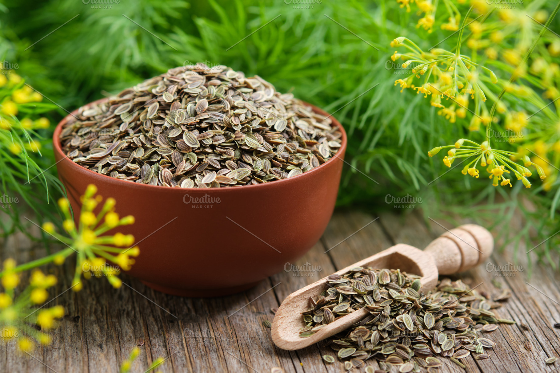 Bowl of fennel seeds and green dill., a Health & Medical Photo by chamillewhite