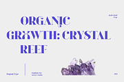 Bagoni Type, a Serif Font by Attract Studio (Thumbnail 10 of 19)