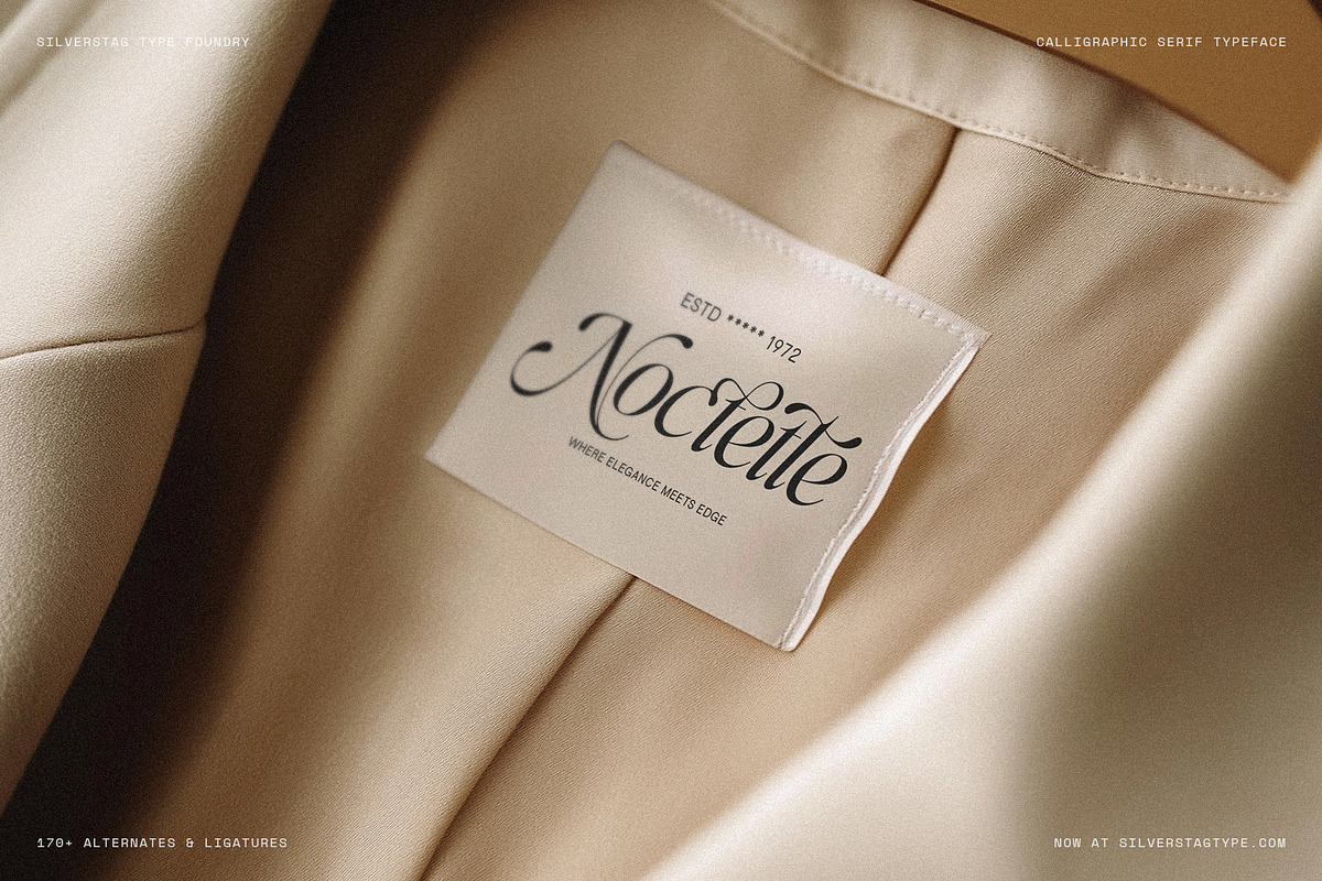 Netsera Calligraphic Serif Typeface, a Serif Font by SilverStag Type Foundry (Photo 16 of 30)