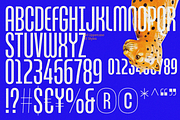ZT Break Fast, a Sans Serif Font by zelow type (Thumbnail 7 of 9)
