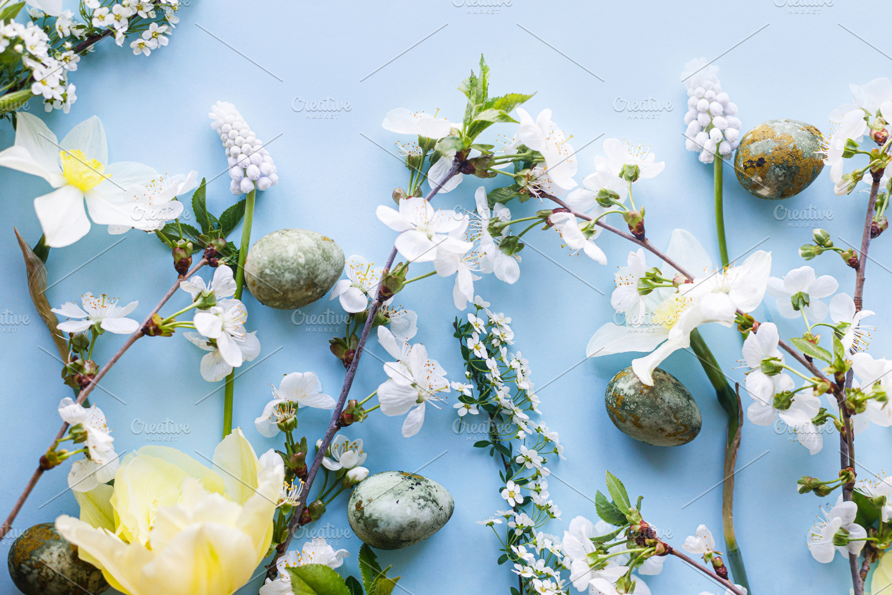 Easter flat lay. Stylish easter eggs, daffodils, tulip and cherr, a Holiday Photo by Sonjachni