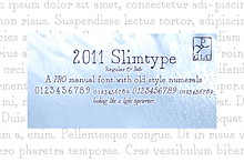 2011 Slimtype Pro Set