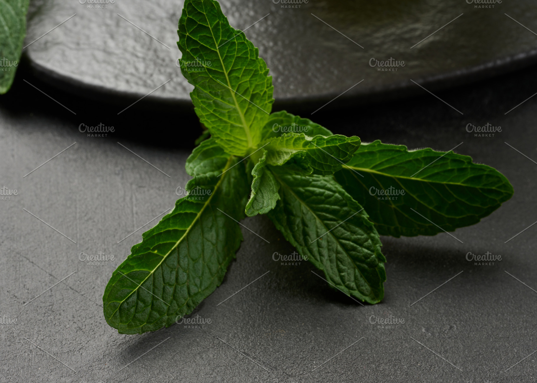 Sprig of mint with green leaves on black table, a Food & Drink Photo by ndanko