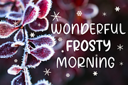 Winter Garden, a Script Font by Larin Type Co. (Thumbnail 2 of 9)