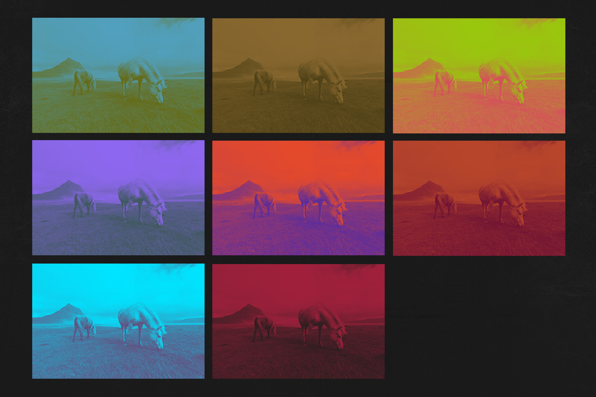 Duotone Photoshop Action, an Action Add-On by Kovalski (Photo 9 of 9)