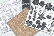 Succulents., an Illustration by maritime_m (Thumbnail 2 of 8)