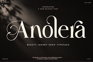 Beauty Luxury Serif Font - Anolera, a Serif Font by Font Liner