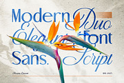 Beyna Elvani - Elegant Sans & Script, a Script Font by Burntilldead (Thumbnail 6 of 12)