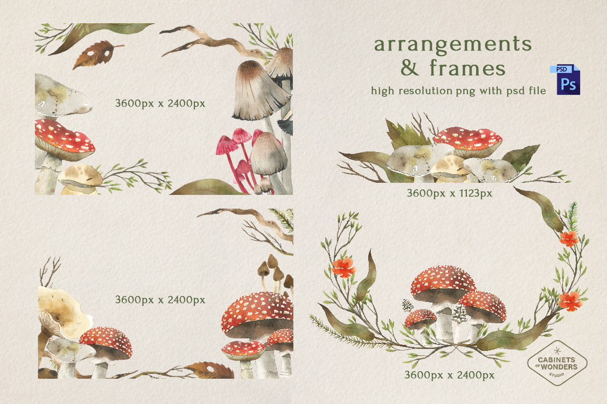 Mushroom Watercolor Clipart Set, an Illustration by STUDIO CABINET (Photo 5 of 6)