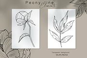 Peony Line Illustration - Flower Art, an Illustration by Ooh Lily (Thumbnail 9 of 12)