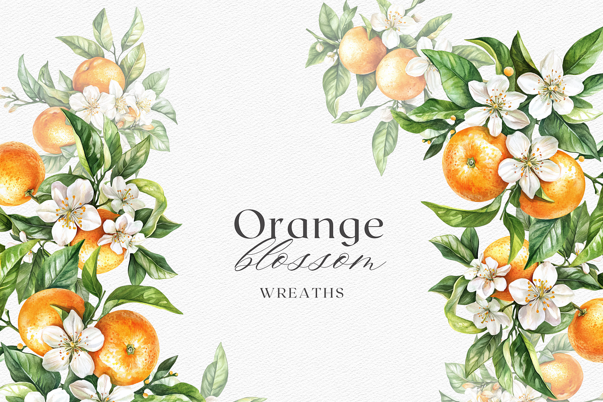 Orange Blossom - Watercolor Set, a Decorative Illustration by ThaismotaCreativeCo (Photo 5 of 9)