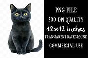 Halloween Movie Night Clipart, an Illustration by Designking (Thumbnail 5 of 5)