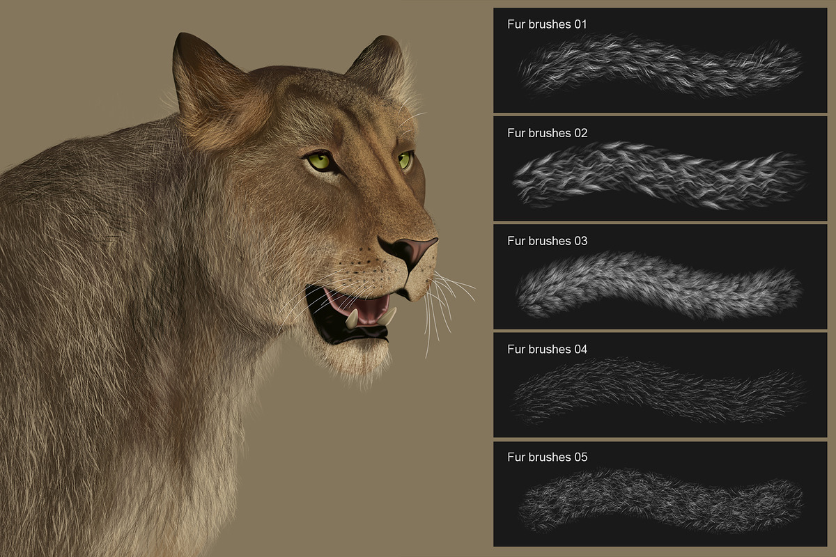 Fur Photoshop Brushes v2, a Brush Add-On by Mohamed Saber (Photo 2 of 6)