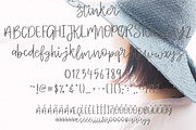 stinker | Bonus 12 Logos, a Script Font by Artstudio (Thumbnail 7 of 7)