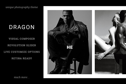 Dragon: Unique Photography Theme