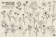 Meadow wildflowers + Procreate, a Decorative Illustration by Skliarova (Thumbnail 3 of 3)