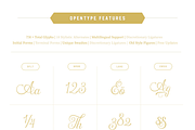 Hummington, a Script Font by Zeune Type Foundry (Thumbnail 14 of 15)