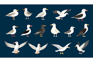 Seagull birds. Different seagulls, an Animal Illustration by Valerie Bodnar