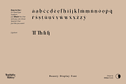 Sophista Belucy Display Beauty Font, a Serif Font by Skillyas_Studio (Thumbnail 11 of 12)