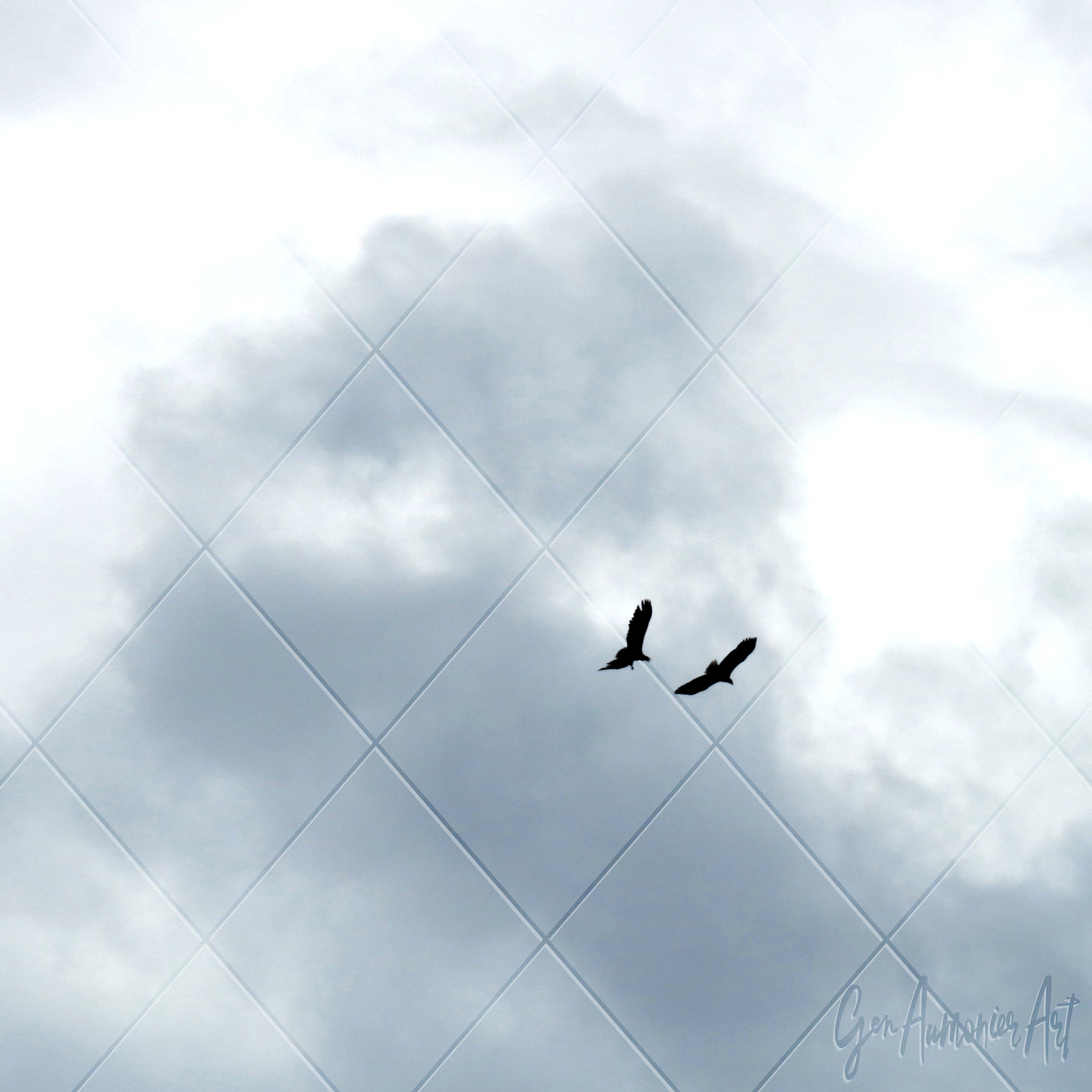 Eagle Pair in the Sky 1 Photograph, an Animal Photo by Gen Aumonier
