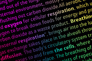 Sale! Spiro sans serif, a Sans Serif Font by Etewut (Thumbnail 2 of 11)