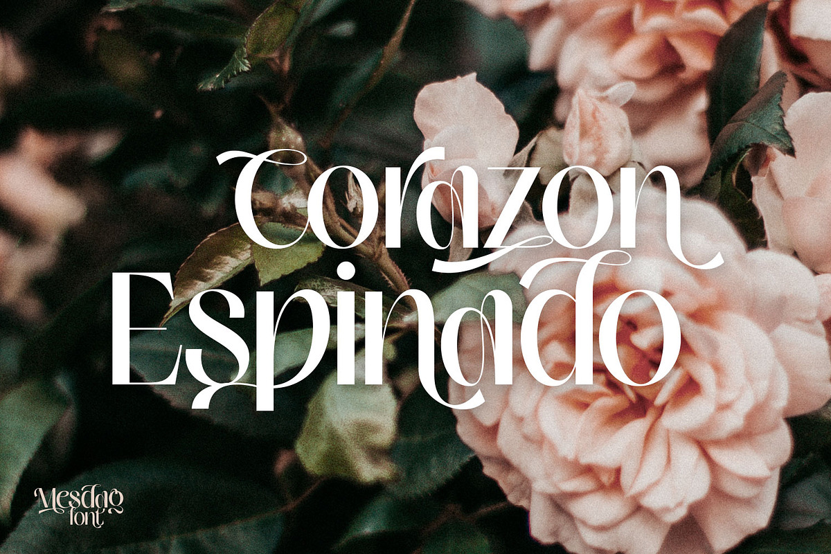 Mesdag Font - unique and chic family, a Sans Serif Font by creativemedialab (Photo 8 of 14)