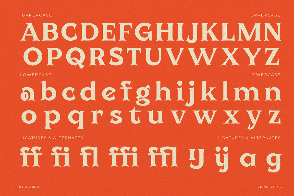 UT Qlared - A Flare Serif Font, a Serif Font by Universitype (Photo 4 of 14)