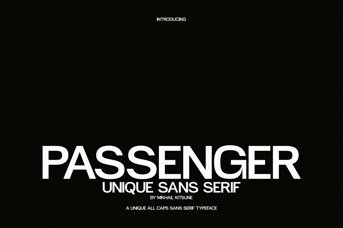 Passenger - Unique Sans Serif, a Sans Serif Font by Mikhail Kitsune (Photo 6 of 8)