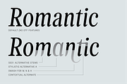 Levino Font Family, a Font by Punch (Thumbnail 5 of 10)