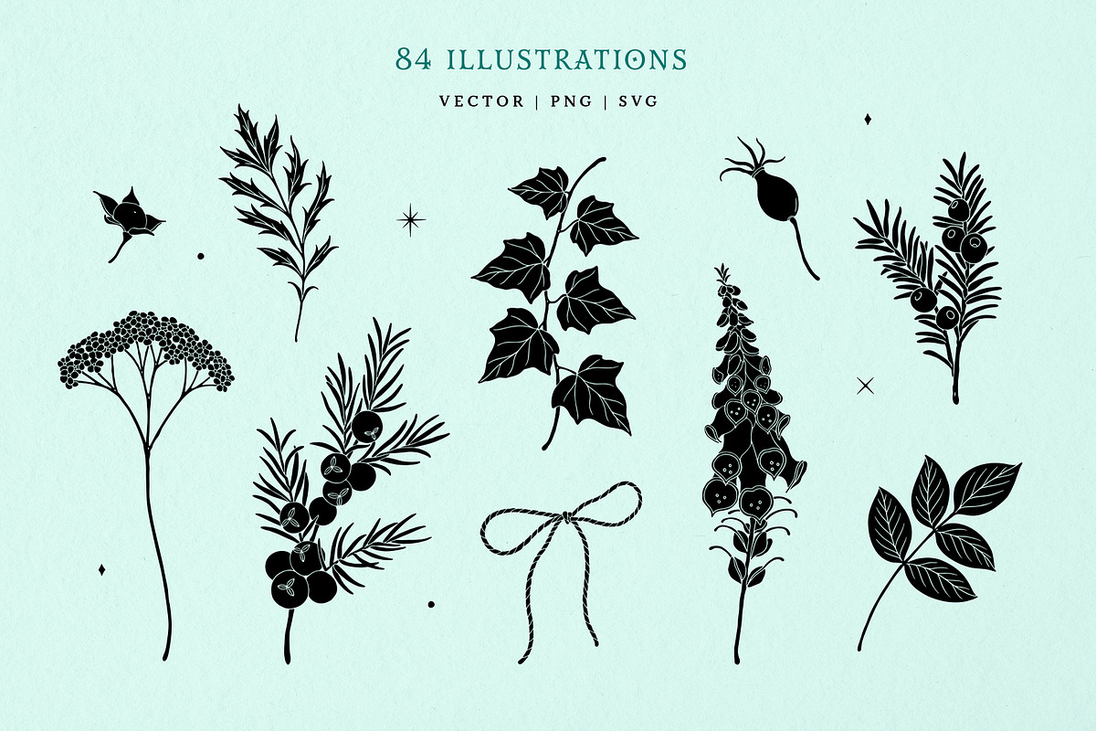 Mystic Garden Vector Illustrations, a Seasonal Illustration by rouxsupplyco (Photo 3 of 11)