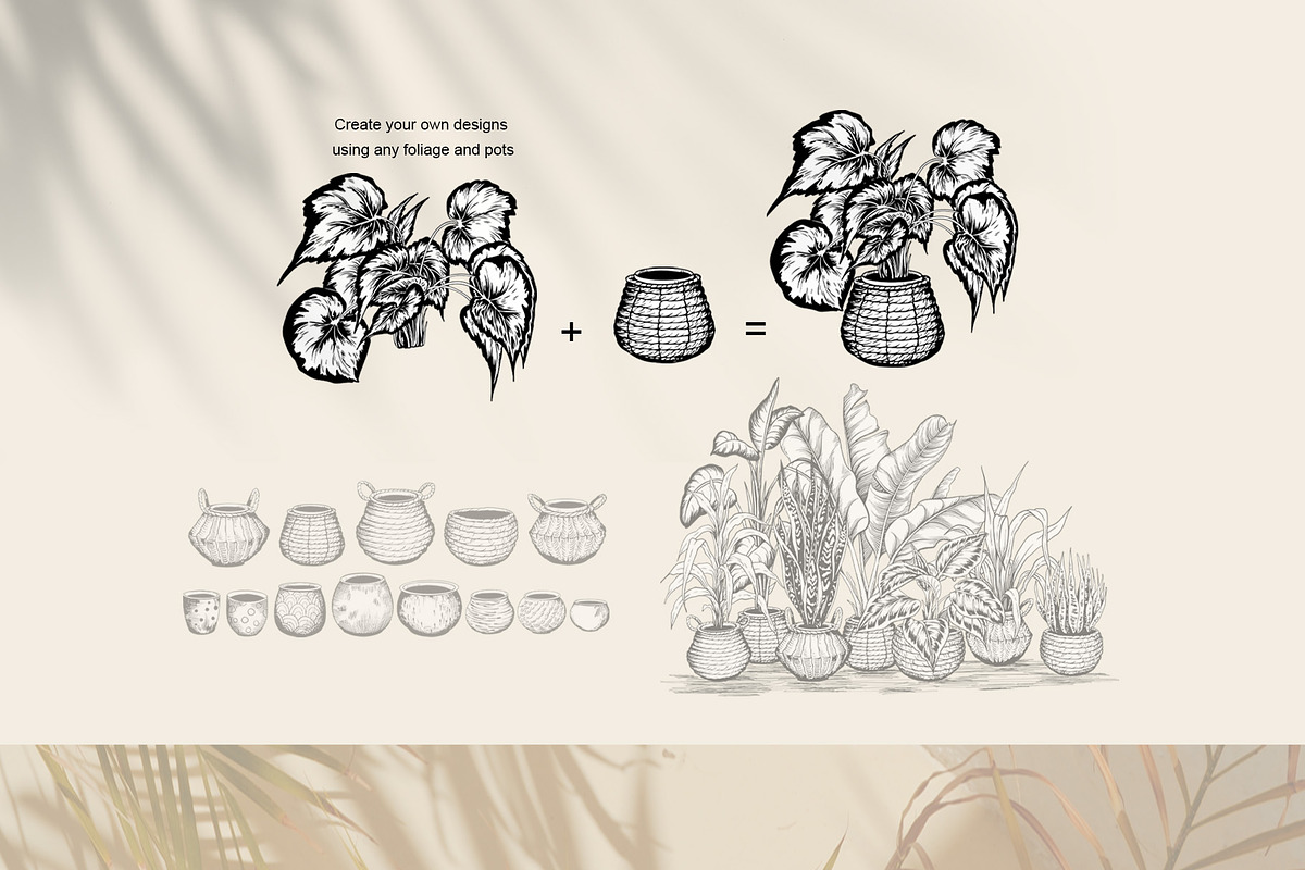 Tropical black& white plants, a Decorative Illustration by Jeanna Draw (Photo 16 of 19)