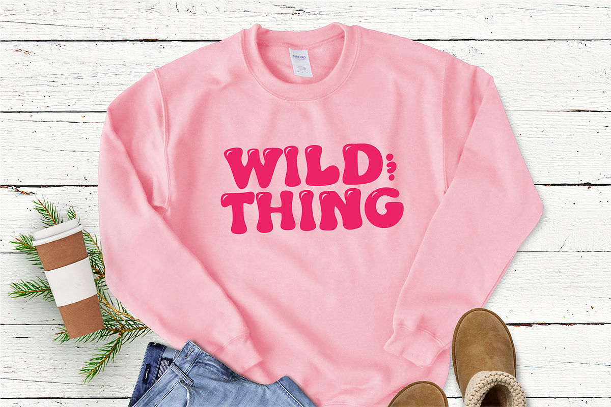 HIPPIE CHICK Retro Serif Font, a Serif Font by Blush Font Co. (Photo 3 of 6)