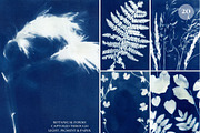 CYANOTYPE Botanical Backgrounds, a Background Graphic by Alisovna (Thumbnail 7 of 15)