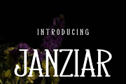 Janziar, a Serif Font by lelevien (Thumbnail 2 of 5)