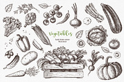 Vegetables. Hand drawn collection., a Food Illustration by natadanko (Thumbnail 5 of 7)