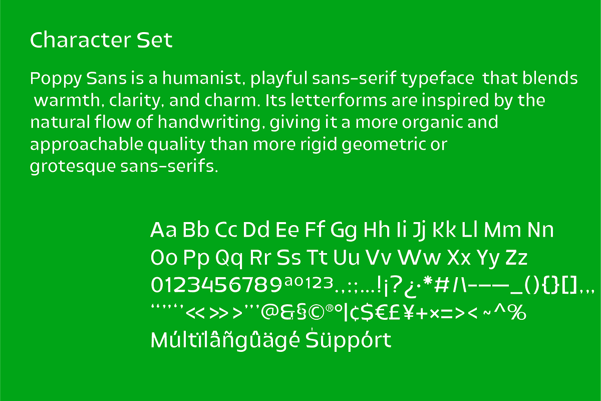 Poppy Playful Humanist Sans Serif, a Font by PeanutButter Type (Photo 5 of 6)