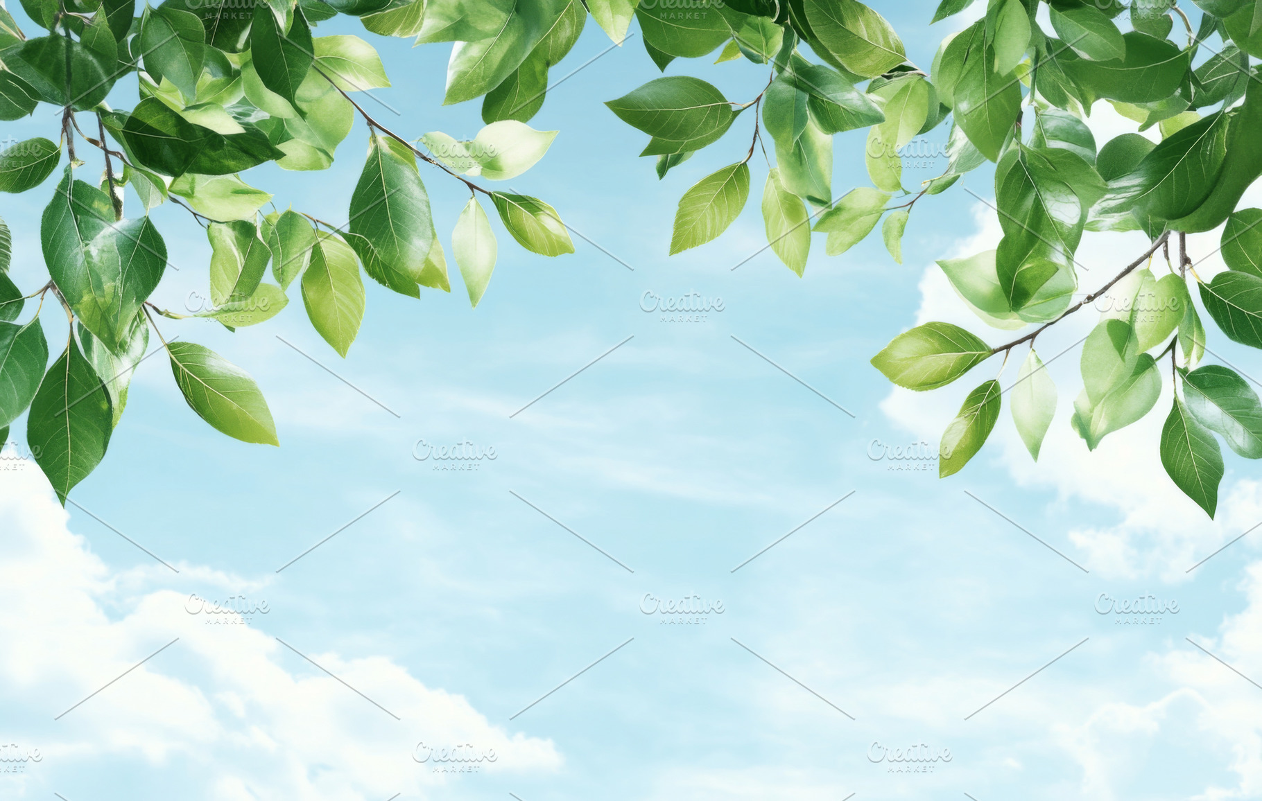 Blue sky and white clouds with green, a Photo by Dvoevnore photos