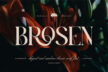 Brosen || Modern Classy Serif Font
