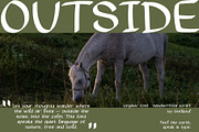 Hidden nature Handwritten Font, a Handwritten Font by Feelsoul (Thumbnail 8 of 9)