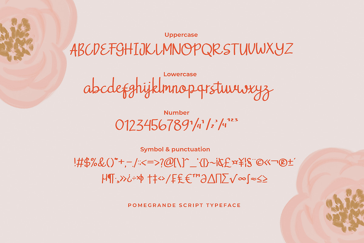 Pomegrande Script Typeface, a Script Font by Dawnside Graphic (Photo 4 of 13)