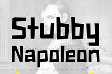 Stubby Napoleon - Regular