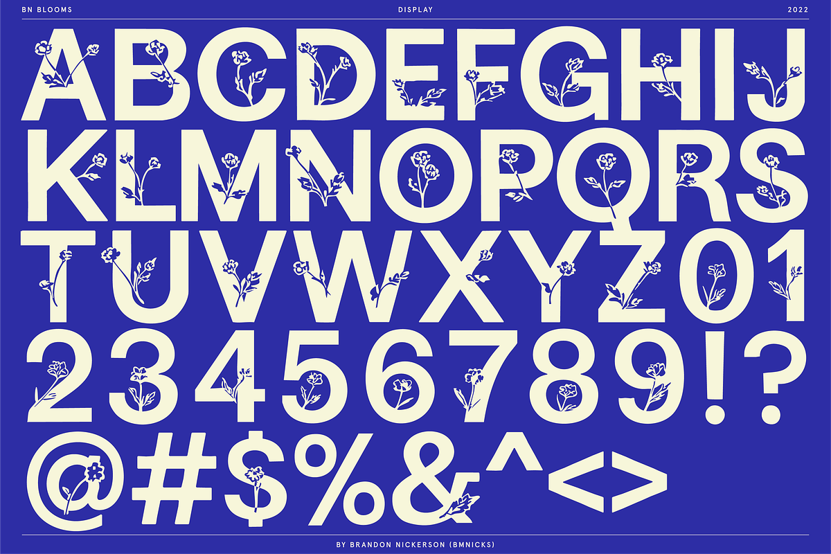 BN Blooms, a Sans Serif Font by Bnick (Photo 3 of 17)