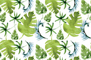 watercolor tropical leaves, patterns, an Illustration by Olesya Morokhovets (Thumbnail 11 of 11)