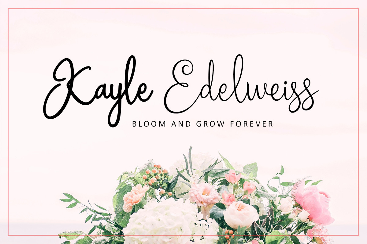 Homogenic - Script Font, a Script Font by HIRO.std (Photo 9 of 14)