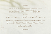 Van Marigella | Classic Calligraphy, a Script Font by Denustudios (Thumbnail 12 of 12)