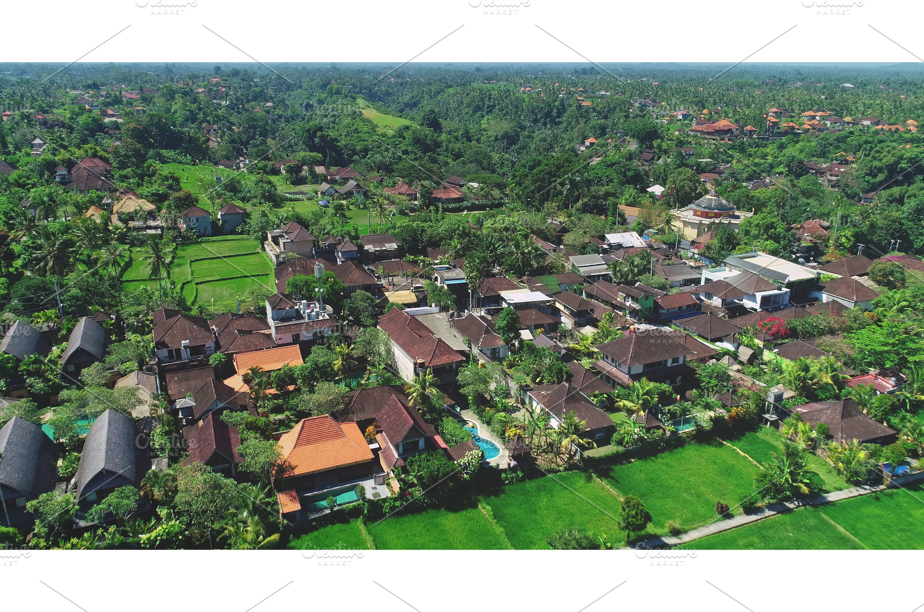 Lush green rice paddies and houses, a Nature Photo by Goinyk