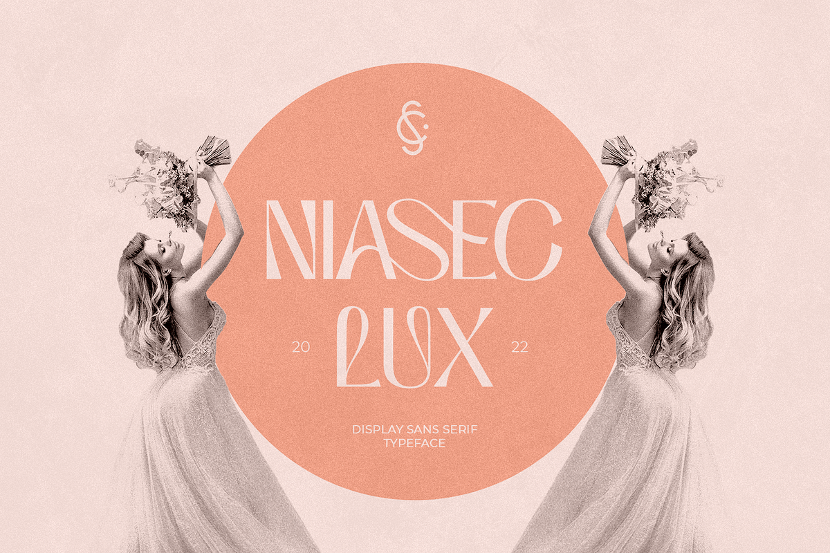 Niasec Lux Elegant Display Font, a Sans Serif Font by Casloop Studio (Photo 1 of 15)