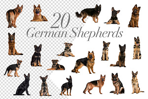 100 Dogs Bundle - Cut-out Pictures