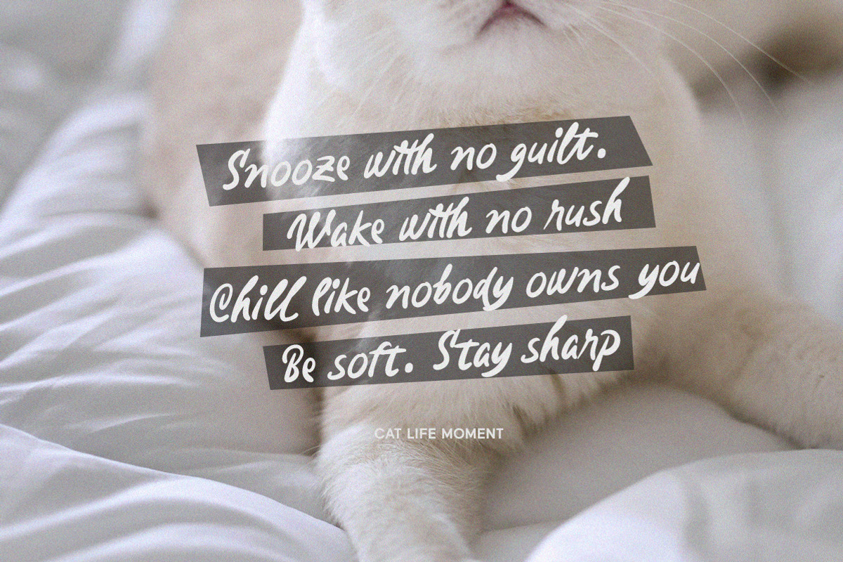 Wandernote Handwritten Font, a Handwritten Font by Littlehand (Photo 3 of 11)