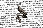 CS Rohesia Drawn, a Blackletter Font by Craft Supply Co. (Thumbnail 6 of 8)